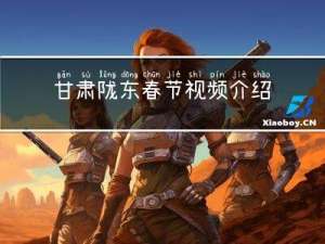 甘肃陇东春节视频介绍