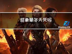 甜象草冬天死吗