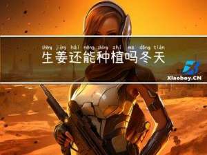 生姜还能种植吗冬天