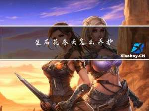 生石花冬天怎么养护