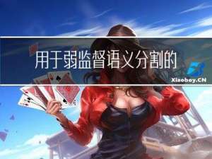 用于弱监督语义分割的多类token transformer