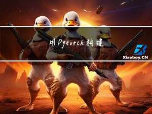 用Pytorch构建一个喵咪识别模型