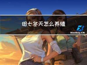 田七冬天怎么养殖