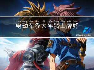 电动车多大年龄上牌好