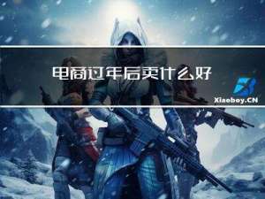 电商过年后卖什么好