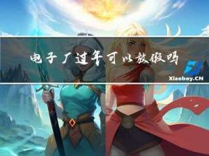 电子厂过年可以放假吗吗