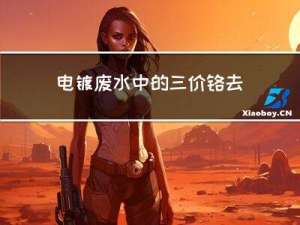 电镀废水中的三价铬去除效率