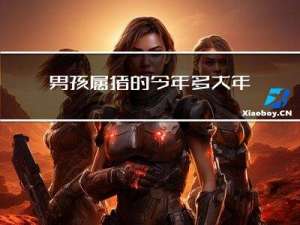 男孩属猪的今年多大年纪