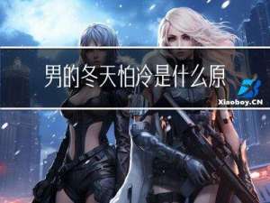 男的冬天怕冷是什么原因