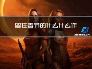 留住春节的什么什么作文