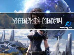 留在国外过年的国家叫什么