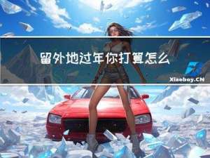 留外地过年你打算怎么过