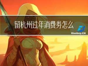 留杭州过年消费券怎么申请