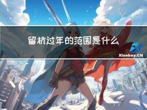 留杭过年的范围是什么