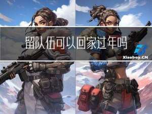 留队伍可以回家过年吗