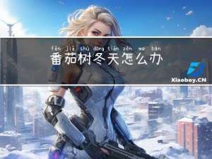 番茄树冬天怎么办