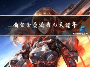 白金会员还有几天过年