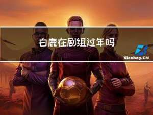 白鹿在剧组过年吗