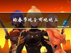 的春节晚会哪晚晚上