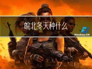 皖北冬天种什么