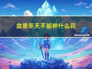 盆景冬天不能种什么花