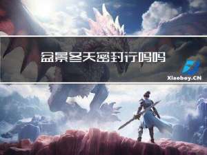 盆景冬天密封行吗吗