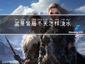 盆景紫藤冬天怎样浇水