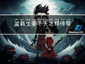 盆栽生姜冬天怎样修剪