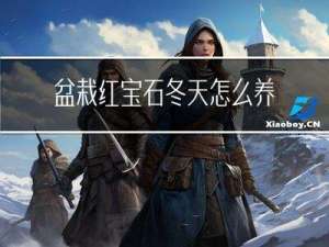 盆栽红宝石冬天怎么养