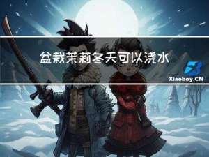 盆栽茉莉冬天可以浇水吗