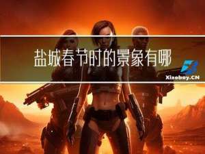 盐城春节时的景象有哪些