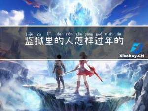 监狱里的人怎样过年的视频