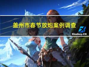 盖州市春节放炮案例调查
