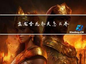 盘龙香花冬天怎么养