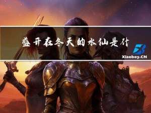 盛开在冬天的水仙是什么歌