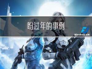 盼过年的事例