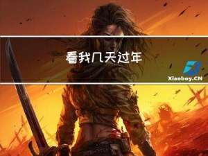 看我几天过年