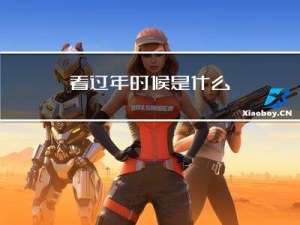 看过年时候是什么