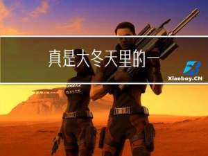 真是大冬天里的一