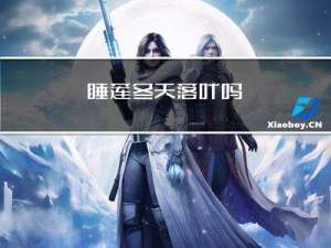 睡莲冬天落叶吗