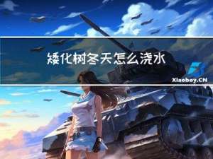 矮化树冬天怎么浇水