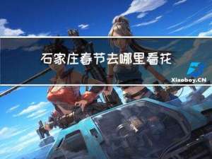 石家庄春节去哪里看花最好
