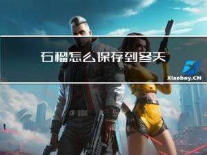 石榴怎么保存到冬天