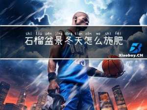 石榴盆景冬天怎么施肥最好