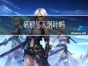 矾根冬天落叶吗