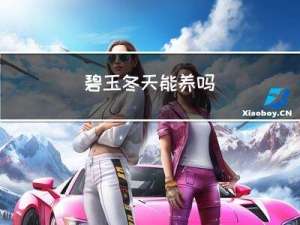 碧玉冬天能养吗