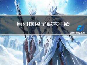 磨牙的兔子多大年龄