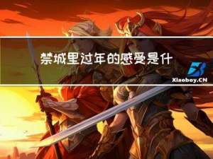 禁城里过年的感受是什么