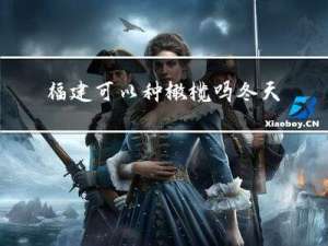 福建可以种橄榄吗冬天