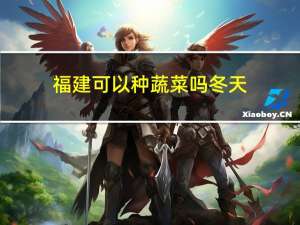 福建可以种蔬菜吗冬天
